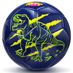 Premium Soccer Balls